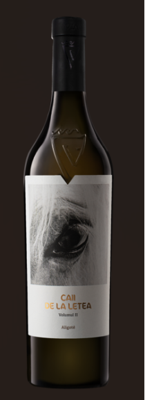 Photo for: Caii de la Letea Volumul II Aligote