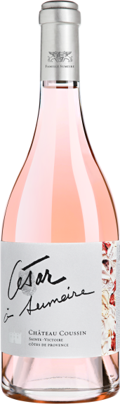 Photo for: César à Sumeire COUSSIN