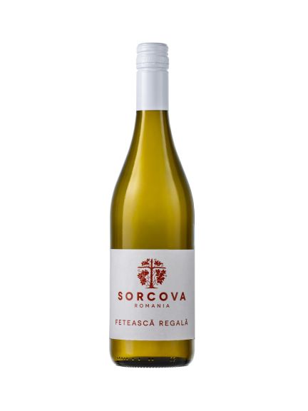 Photo for: Sorcova Feteasca Regala