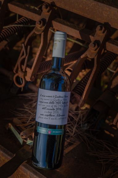 Photo for: Gratena Nero