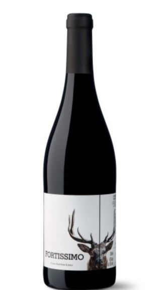 Photo for: Fortissimo