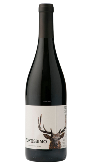 Photo for: Fortissimo