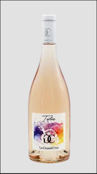 Photo for: La tortue