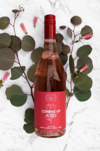 Photo for: Coming up Rose's