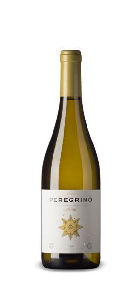 Photo for: Peregrino Albarin