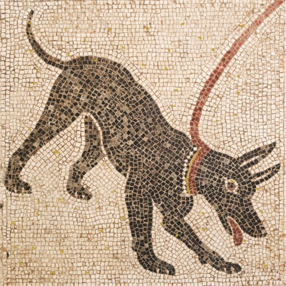 Photo for: Levrier by Jo Irvine 2015 Argos Shiraz