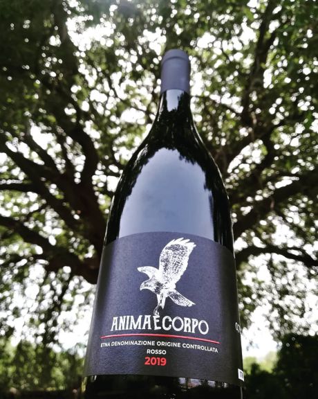 Photo for: Animaecorpo