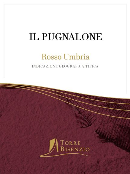 Photo for: Torre Bisenzio Il Pugnalone