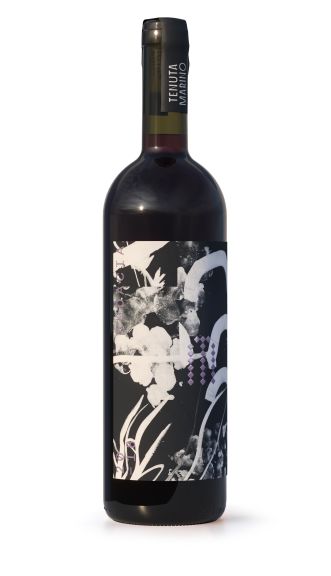 Photo for: Audacia - Tenuta Marino