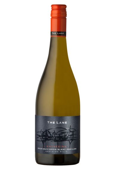 Photo for: The Lane Vineyard 2019 Gathering