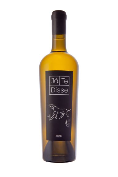 Photo for: Já Te Disse