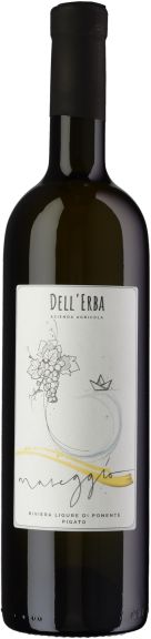 Photo for: Mareggio - Riviera Ligure di Ponente Pigato DOc