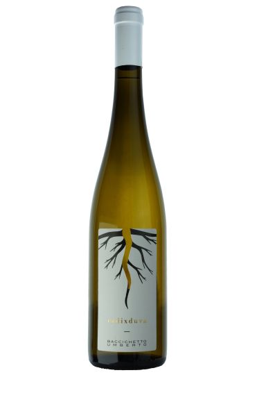 Photo for: Radixduva