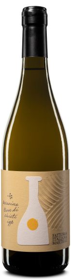 Photo for: FATTORIA ITALIANA MARTELLI