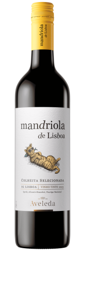 Photo for: Mandriola de Lisboa red 2023