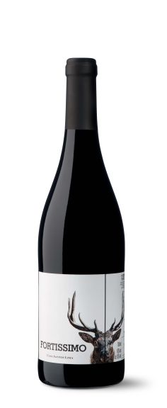 Photo for: Fortíssimo, red, 2020