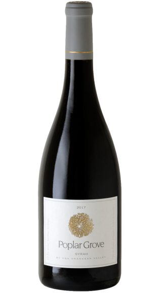 Photo for: Syrah 2019