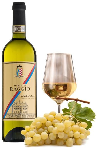 Photo for: Gavi del Comune di Gavi DOCG 