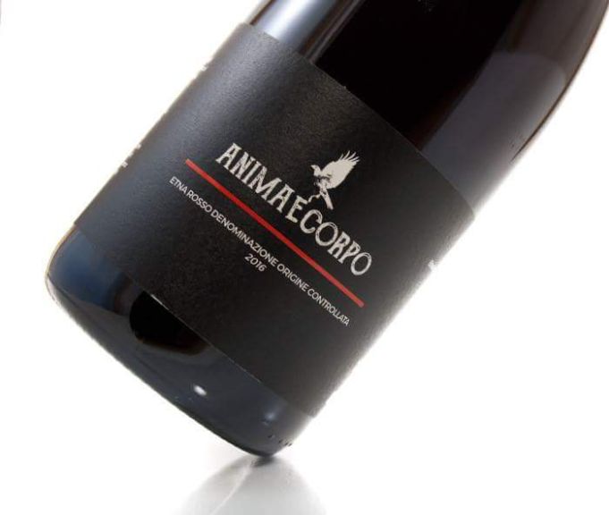 Photo for: ANIMAECORPO